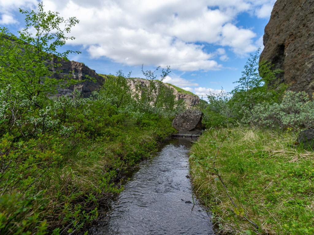 Pentax 645D / 16 Pentax 645D   16