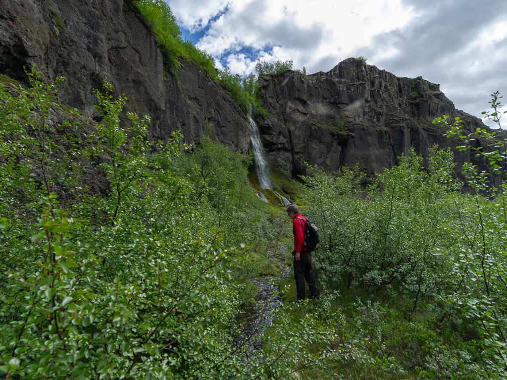 Pentax 645D / 16 Pentax 645D   16