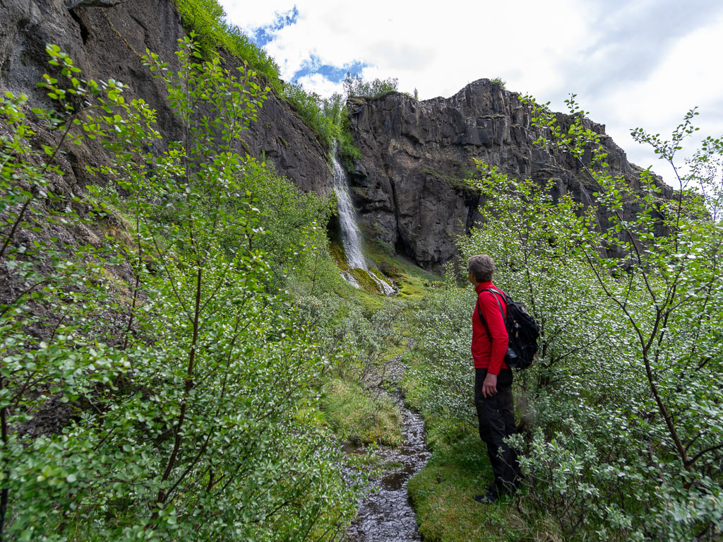 Pentax 645D / 16 Pentax 645D   16