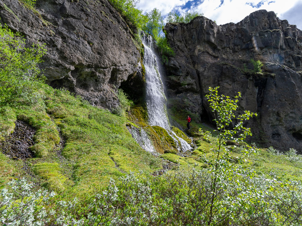 Pentax 645D / 16 Pentax 645D   16