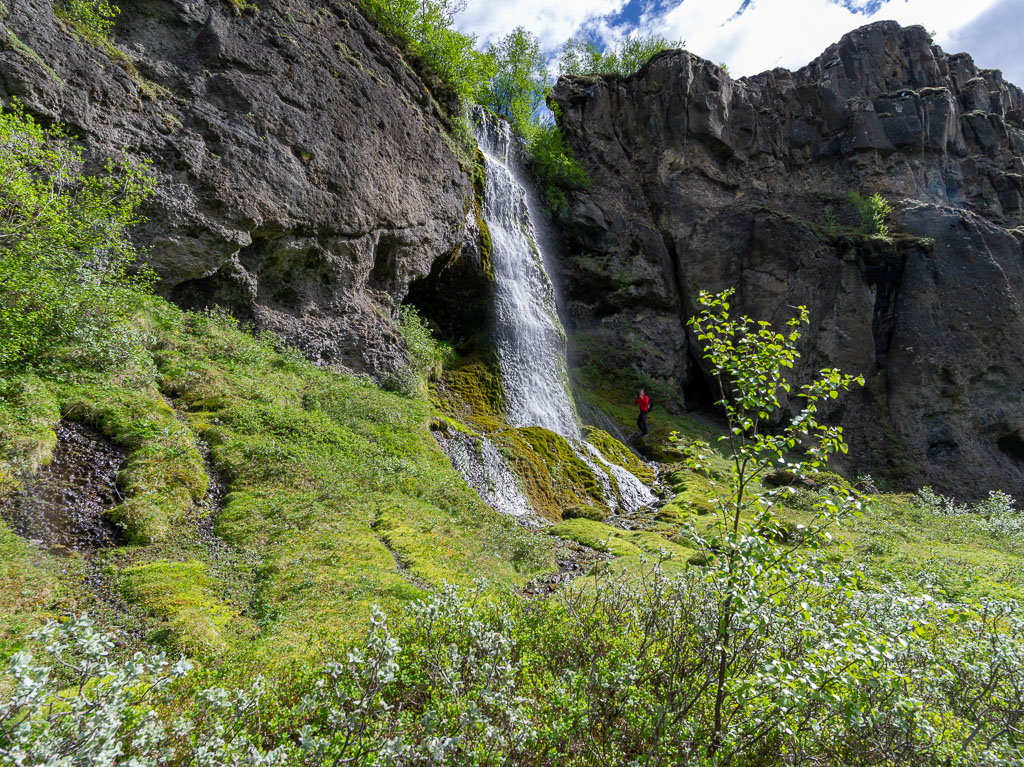 Pentax 645D / 16 Pentax 645D   16