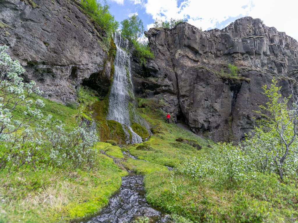 Pentax 645D / 16 Pentax 645D   16