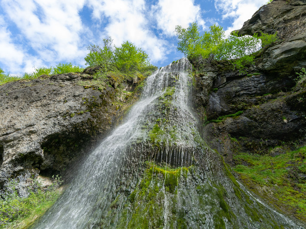 Pentax 645D / 16 Pentax 645D   16