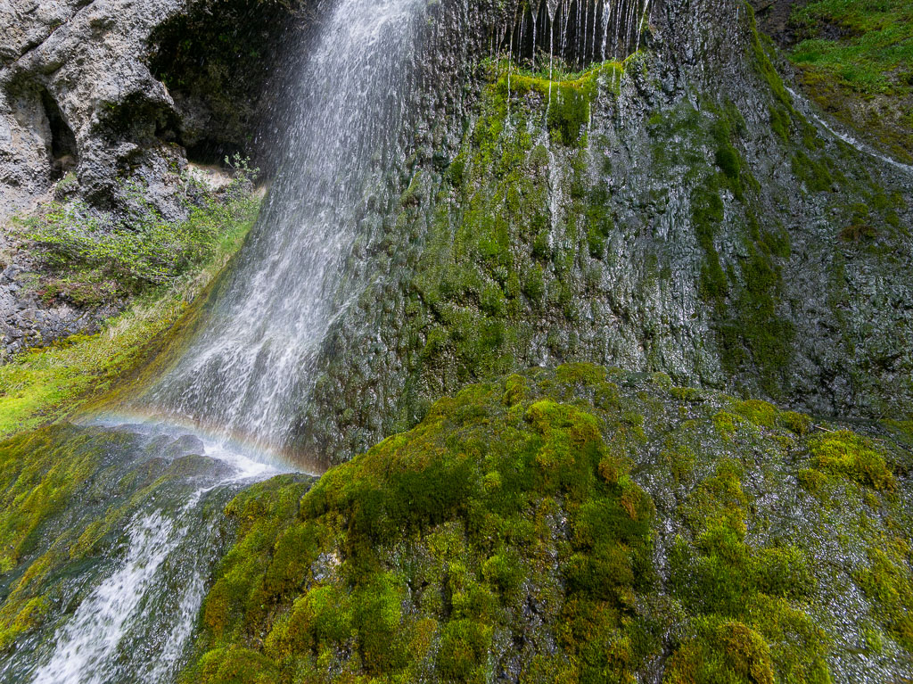 Pentax 645D / 16 Pentax 645D   16