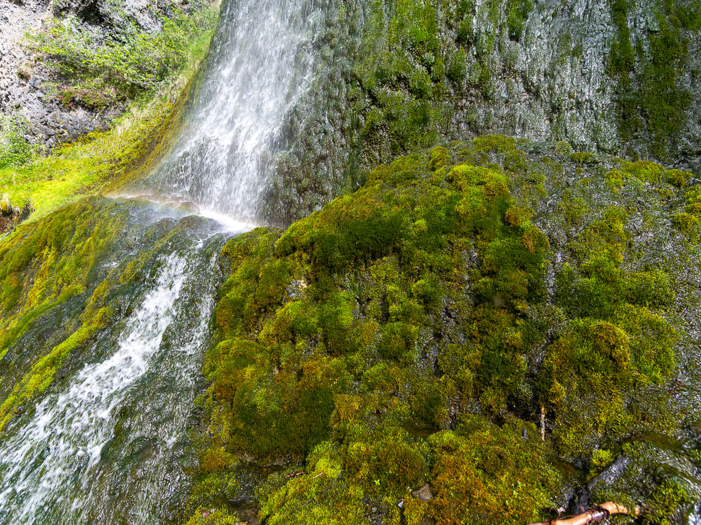 Pentax 645D / 16 Pentax 645D   16