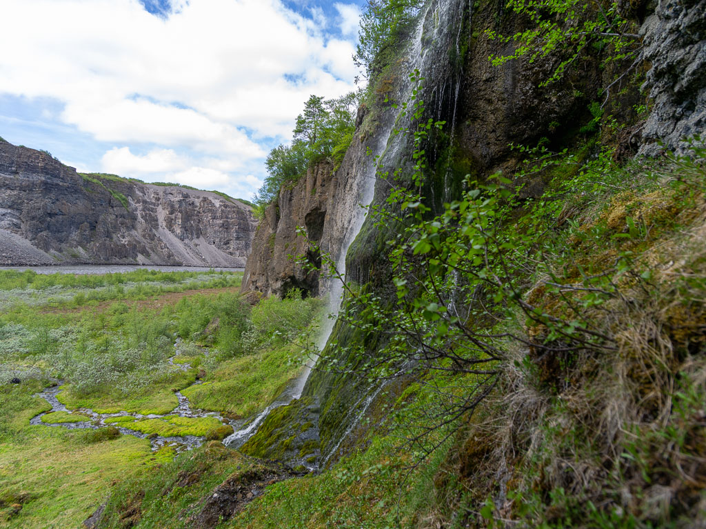 Pentax 645D / 16 Pentax 645D   16