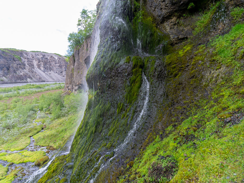 Pentax 645D / 16 Pentax 645D   16