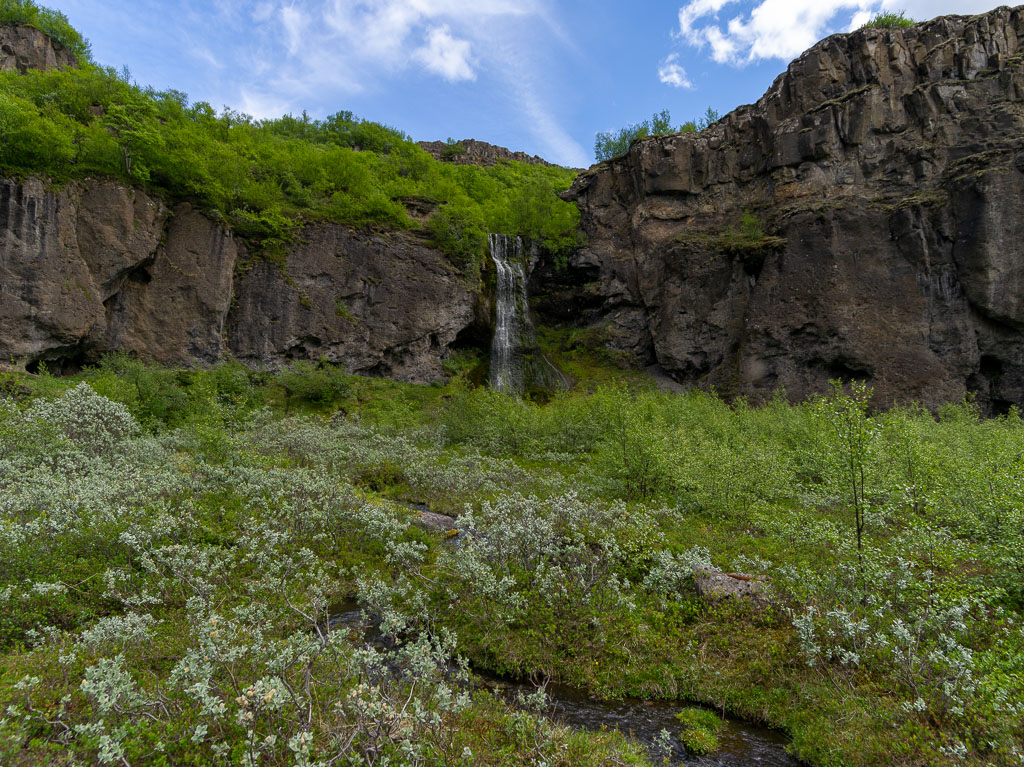 Pentax 645D / 16 Pentax 645D   16