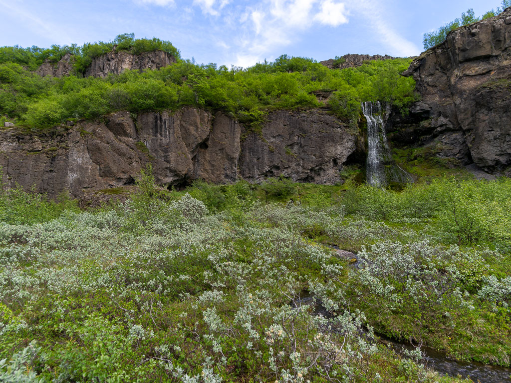 Pentax 645D / 16 Pentax 645D   16