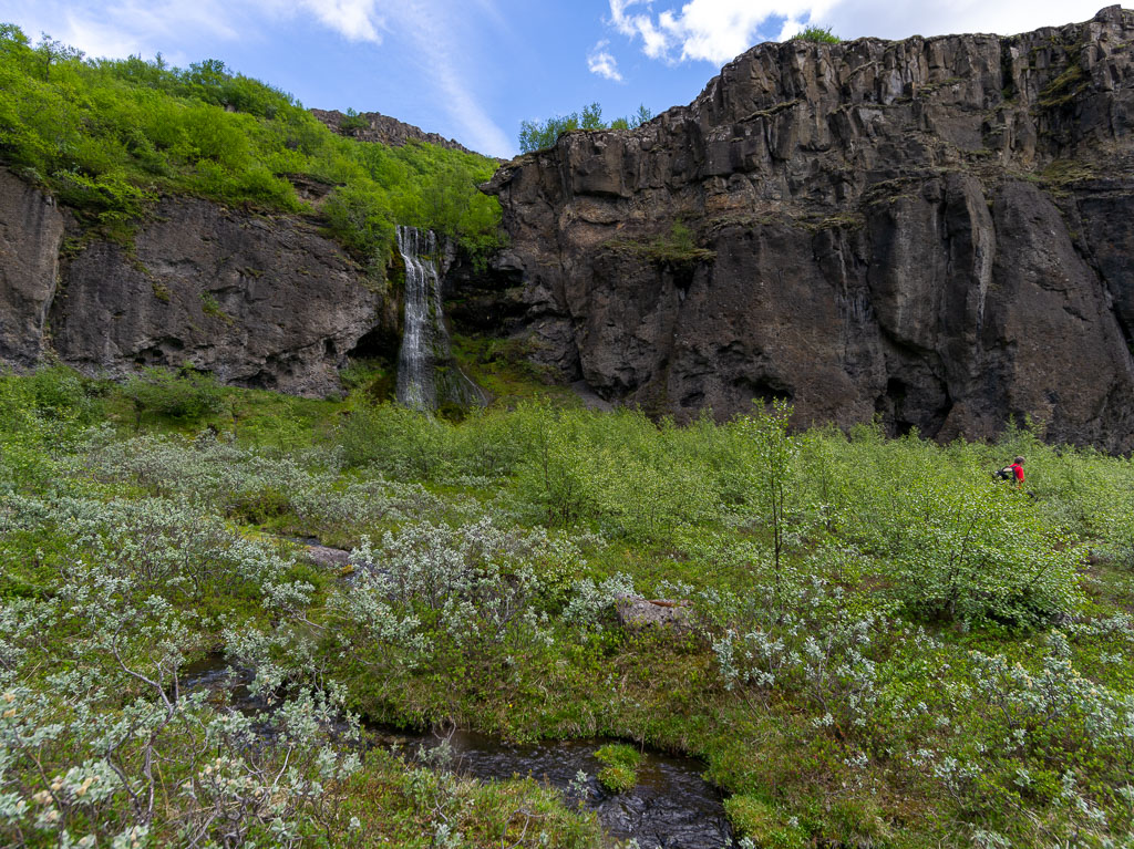 Pentax 645D / 16 Pentax 645D   16