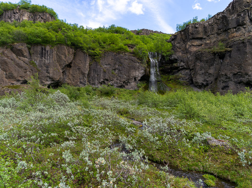 Pentax 645D / 16 Pentax 645D   16