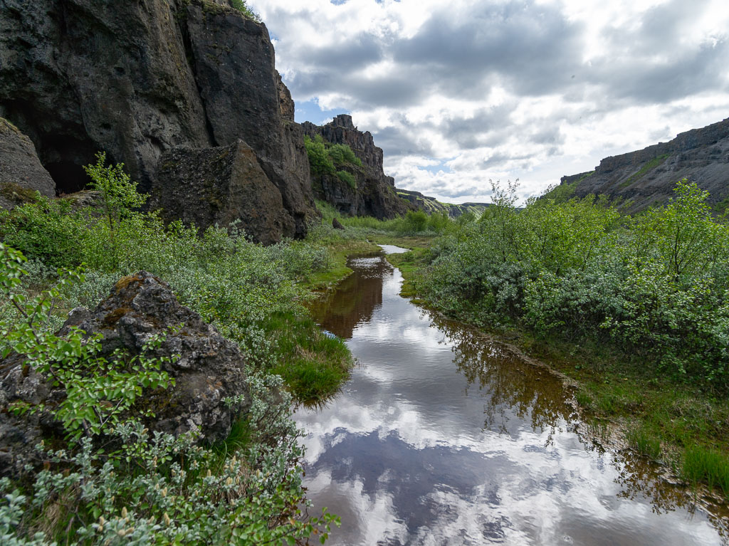 Pentax 645D / 16 Pentax 645D   16