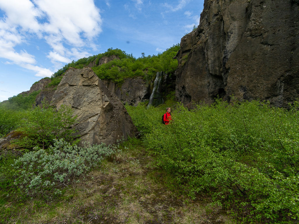 Pentax 645D / 16 Pentax 645D   16