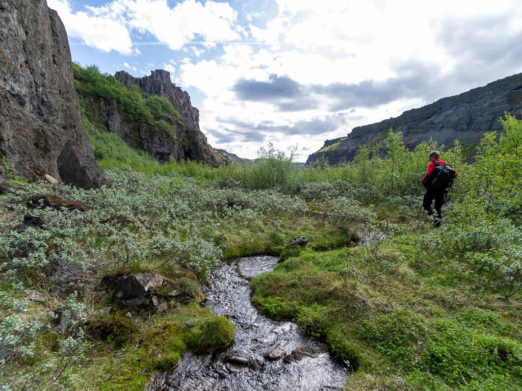 Pentax 645D / 16 Pentax 645D   16