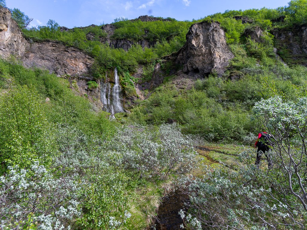 Pentax 645D / 16 Pentax 645D   16