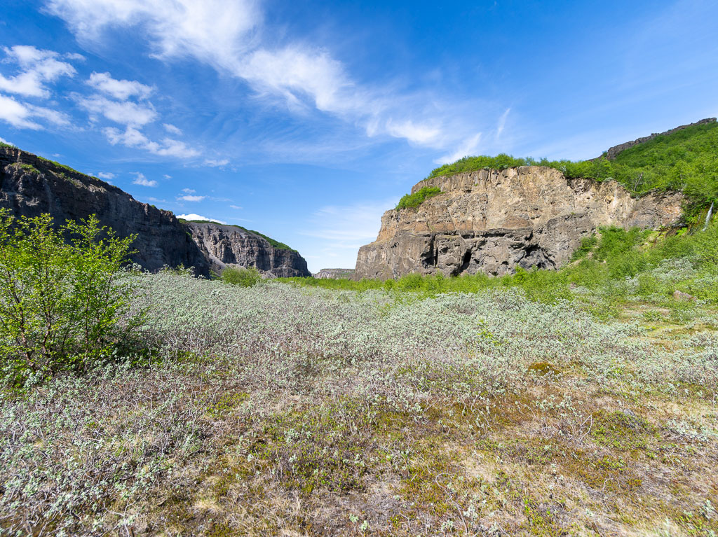 Pentax 645D / 16 Pentax 645D   16