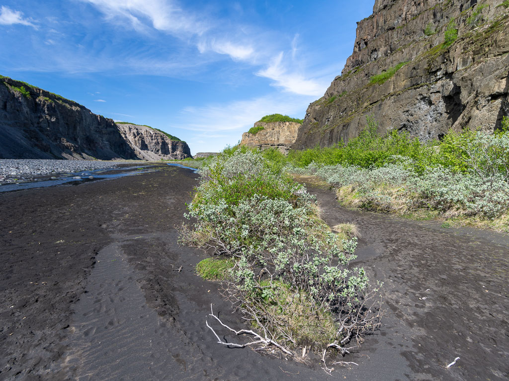 Pentax 645D / 16 Pentax 645D   16