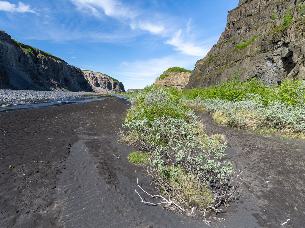 Pentax 645D / 16 Pentax 645D   16