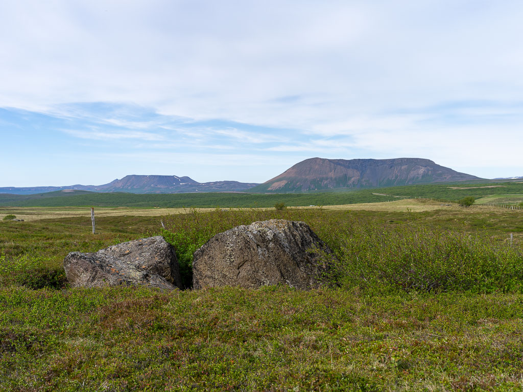 Pentax 645D / 16 Pentax 645D   16