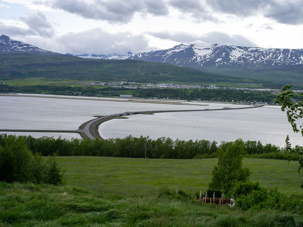 Pentax 645D / 26 Pentax 645D   26