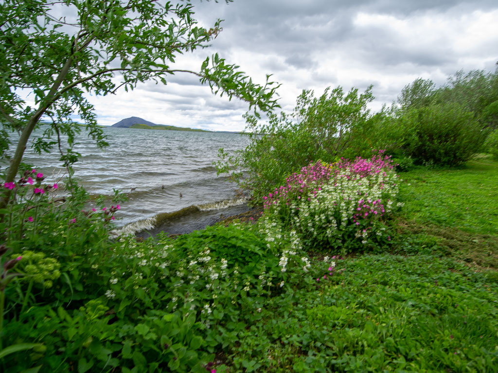 Pentax 645D / 28 Pentax 645D   28