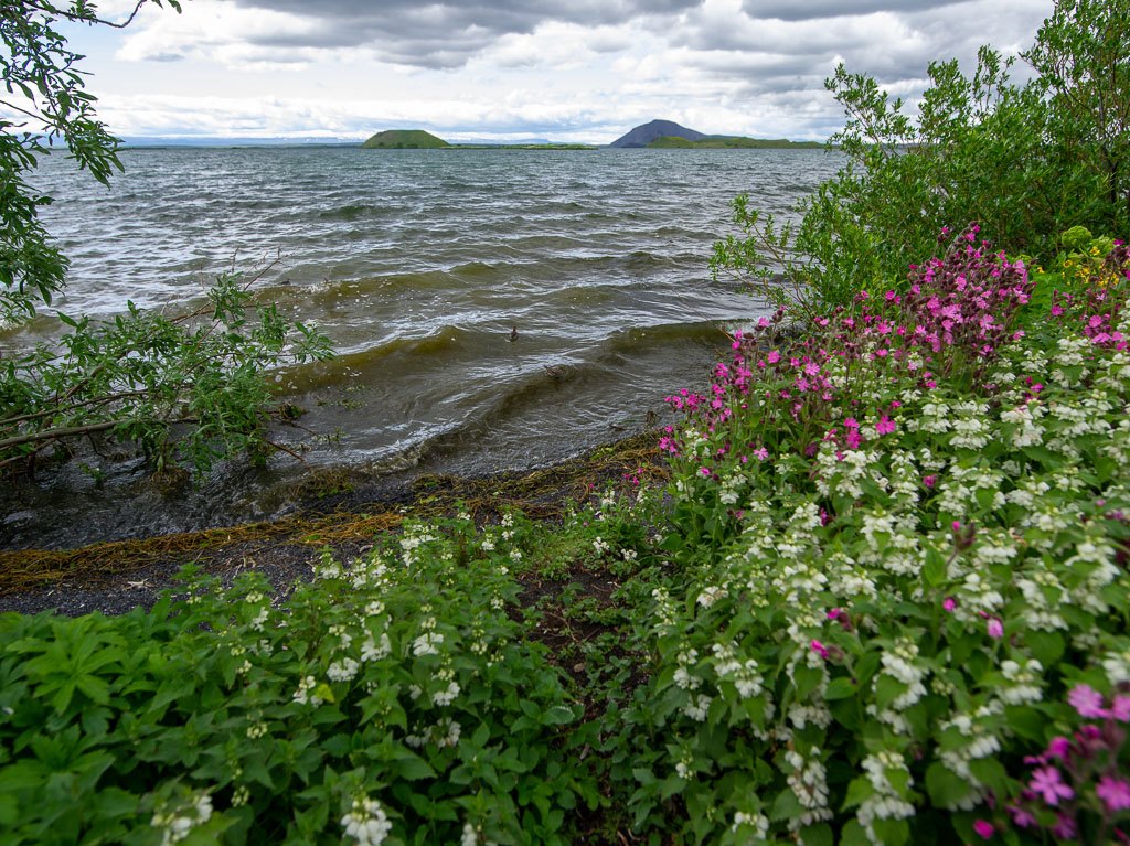 Pentax 645D / 28 Pentax 645D   28