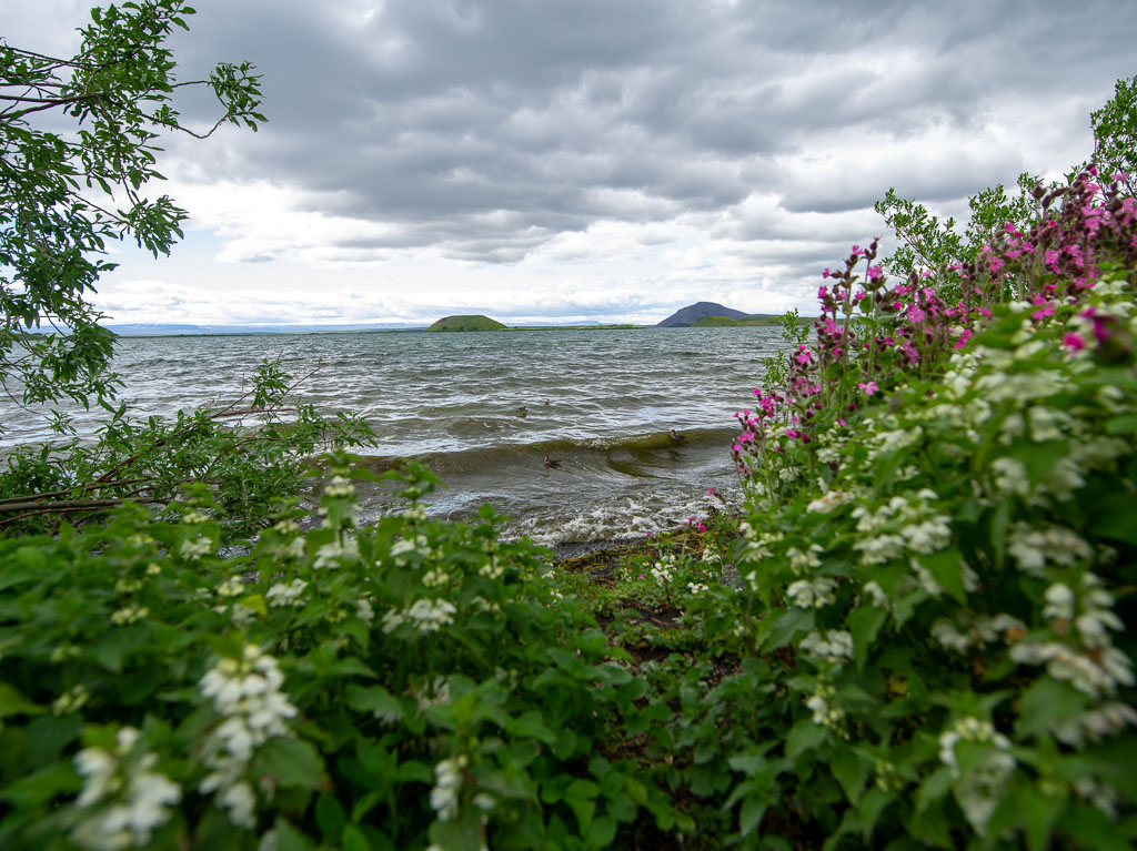 Pentax 645D / 28 Pentax 645D   28