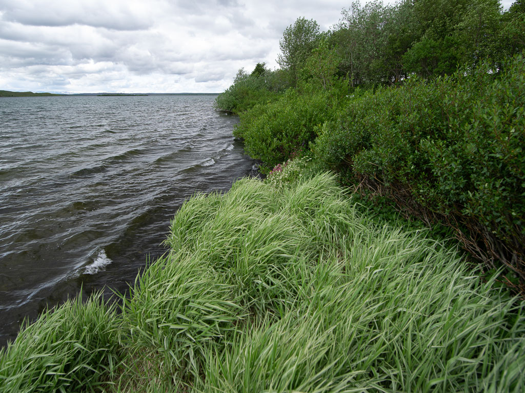 Pentax 645D / 28 Pentax 645D   28