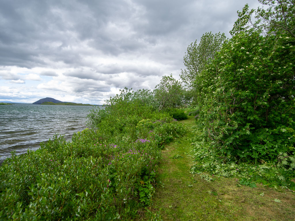 Pentax 645D / 28 Pentax 645D   28