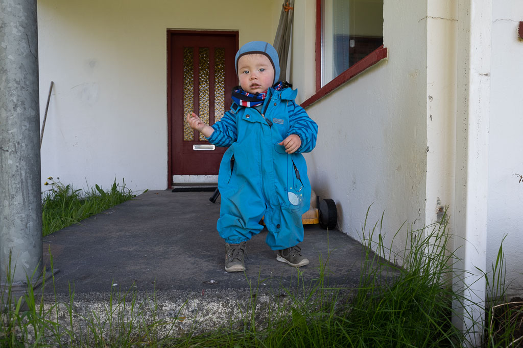 Pentax K-1 / 7 Pentax K-1   7