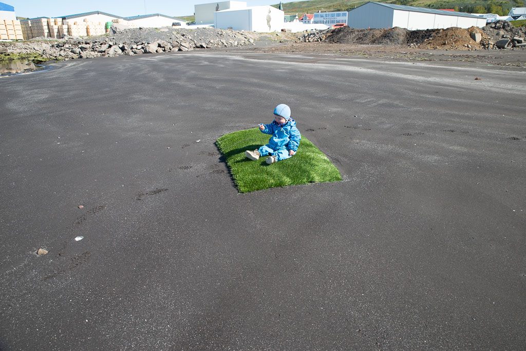 Pentax K-1 / 7 Pentax K-1   7