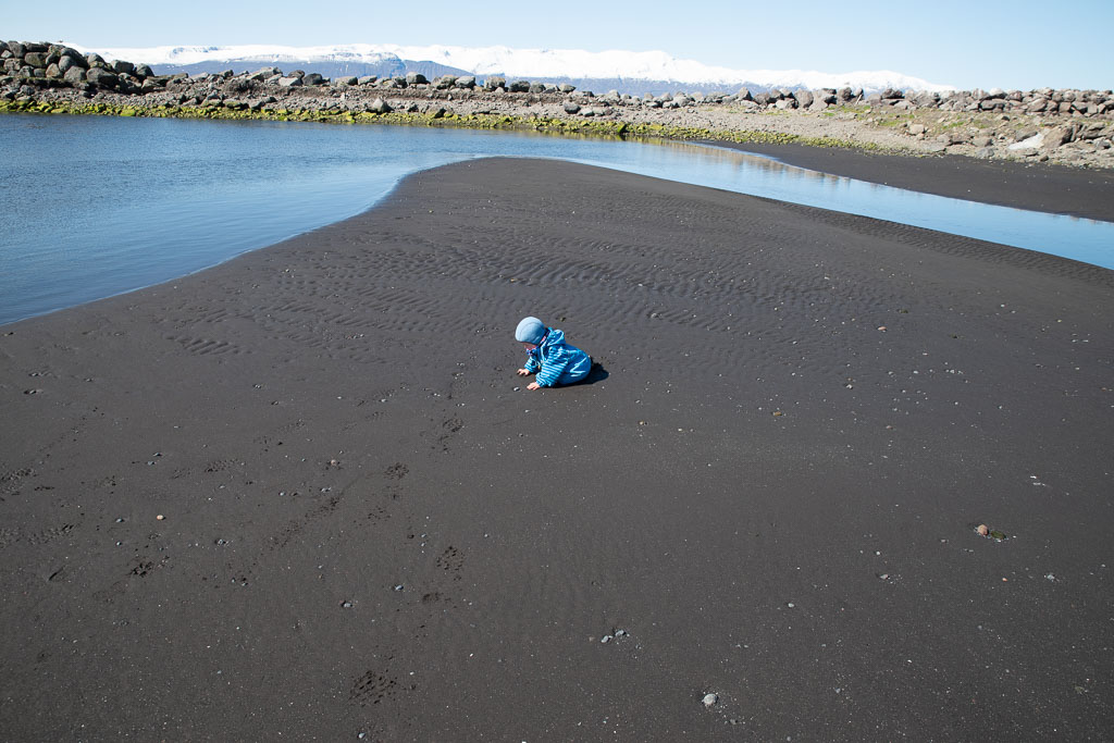 Pentax K-1 / 7 Pentax K-1   7