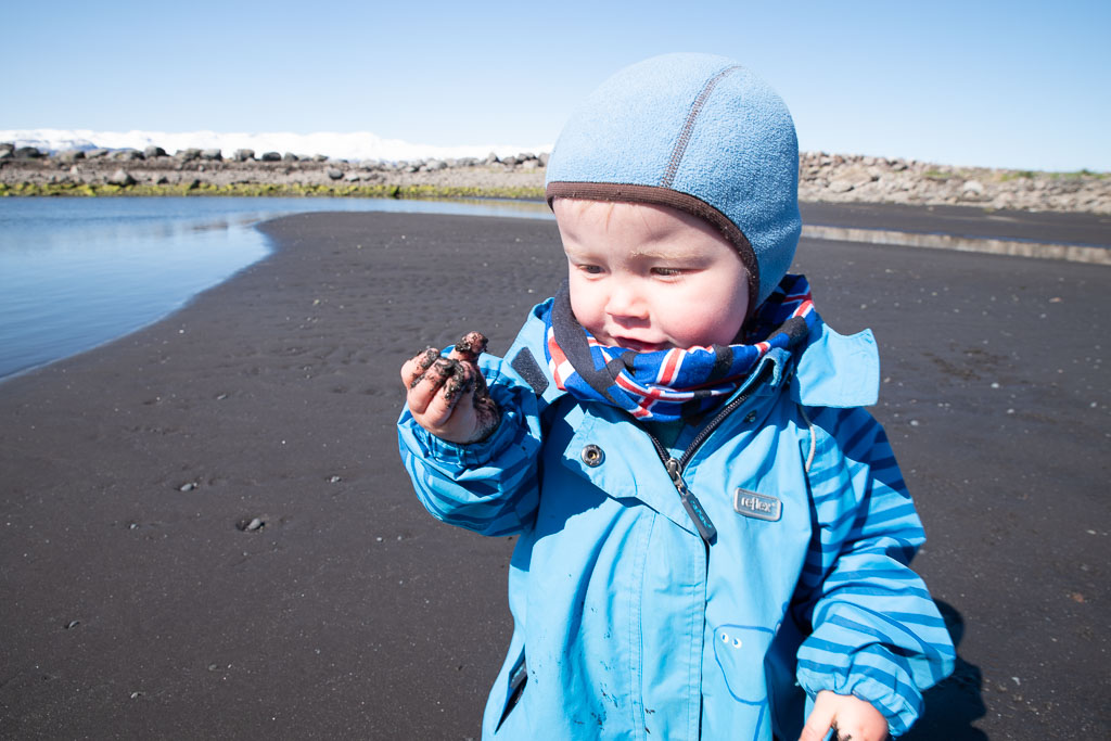 Pentax K-1 / 7 Pentax K-1   7
