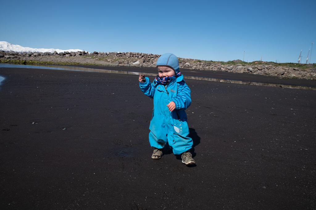 Pentax K-1 / 7 Pentax K-1   7