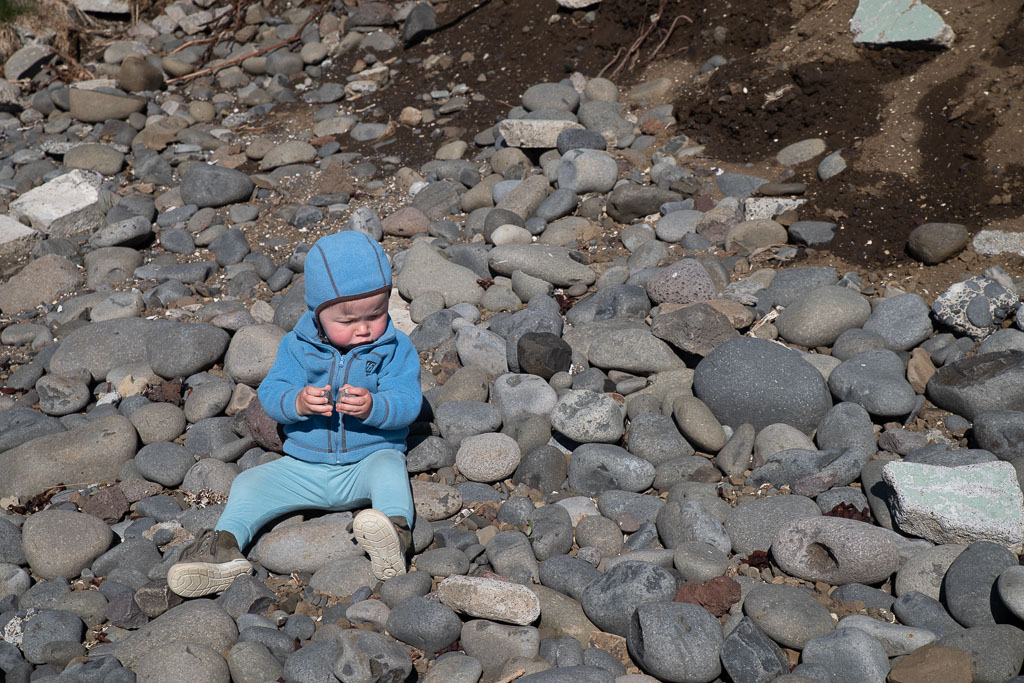 Pentax K-1 / 7 Pentax K-1   7