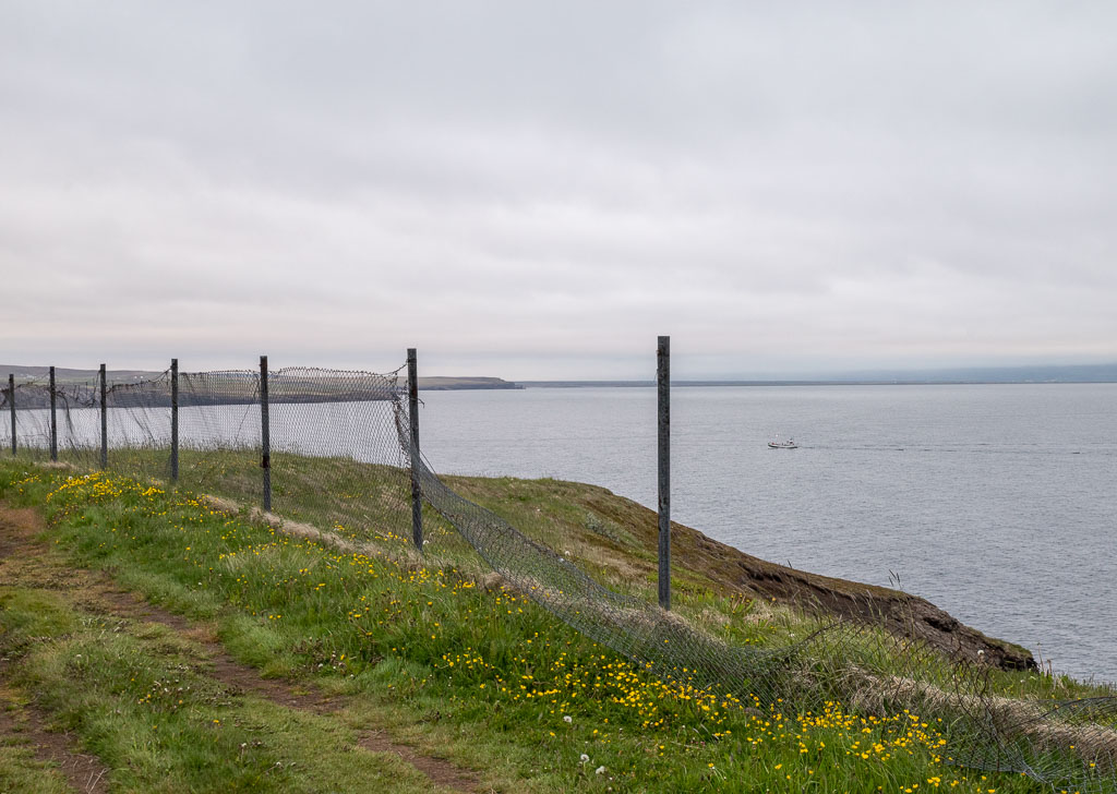 Pentax K-1 / 21 Pentax K-1   21