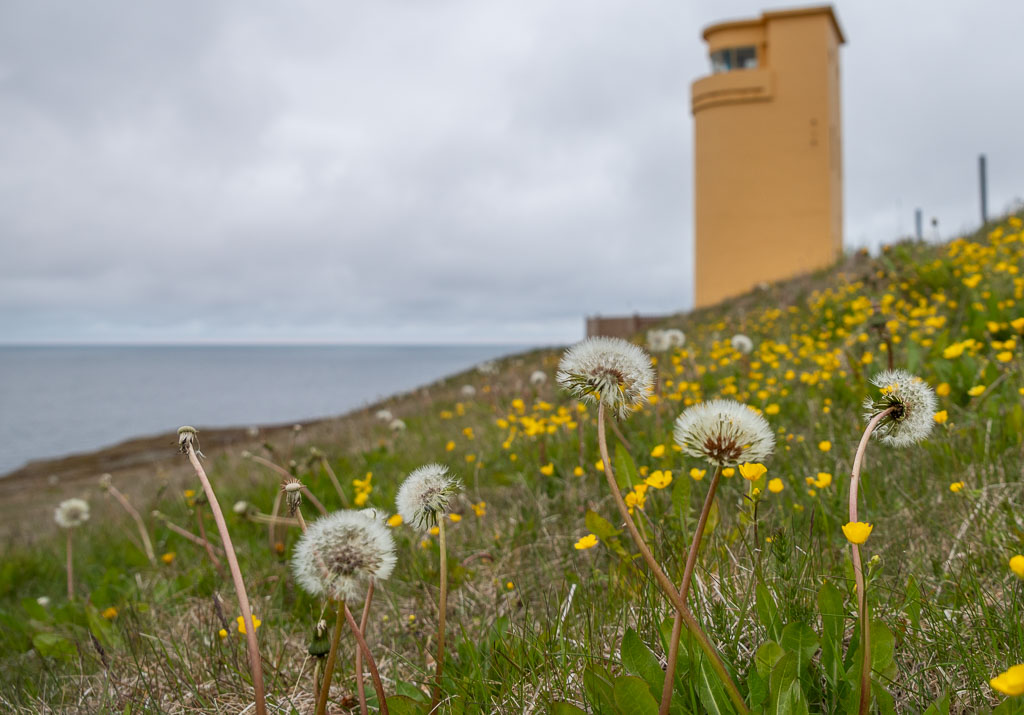 Pentax K-1 / 21 Pentax K-1   21