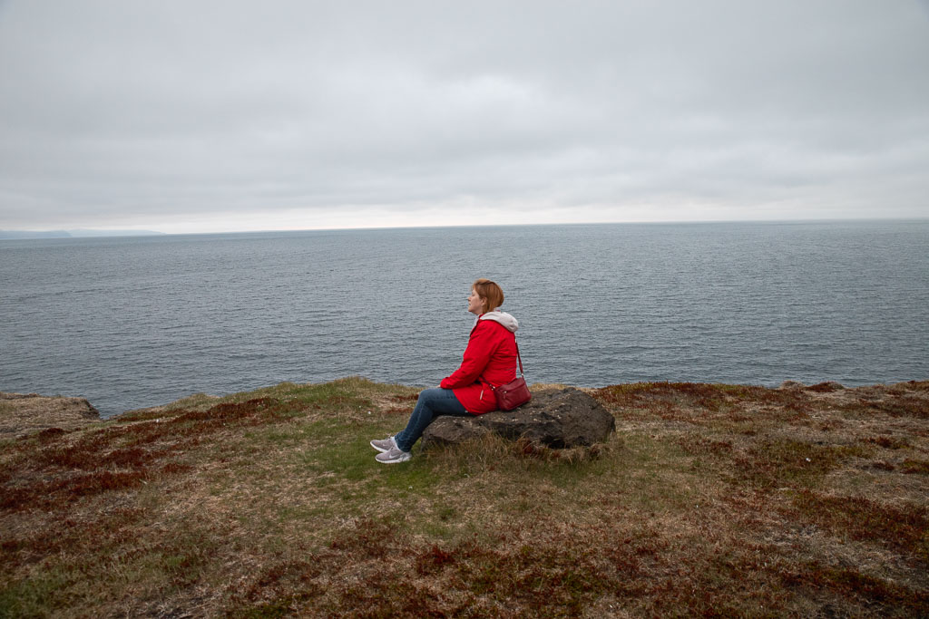 Pentax K-1 / 22 Pentax K-1   22