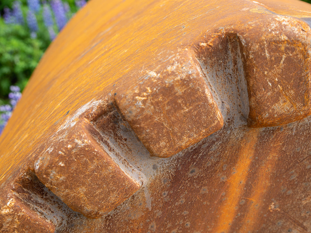 Pentax K-1 / 22 Pentax K-1   22