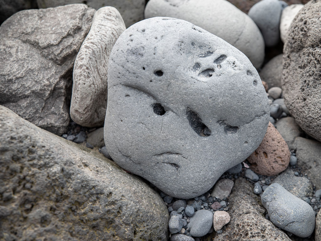 Pentax K-1 / 22 Pentax K-1   22