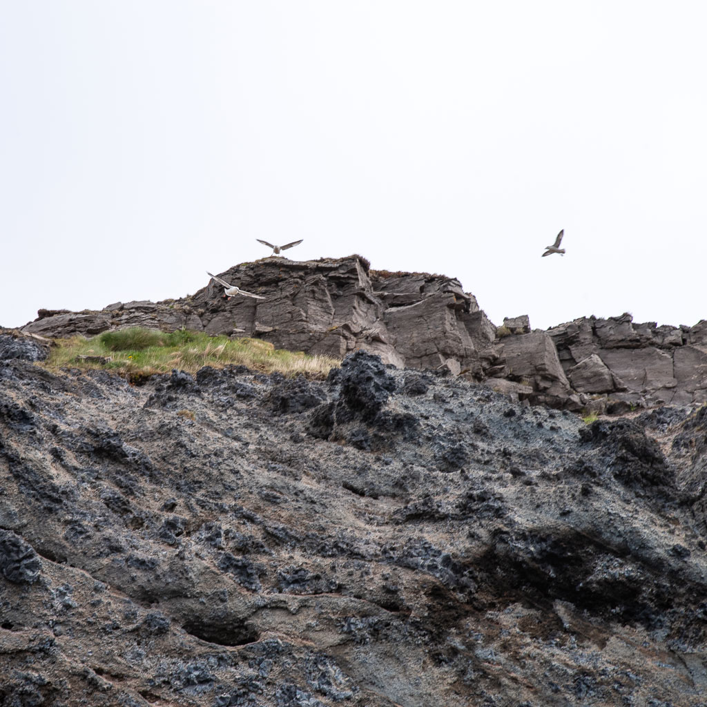 Pentax K-1 / 22 Pentax K-1   22