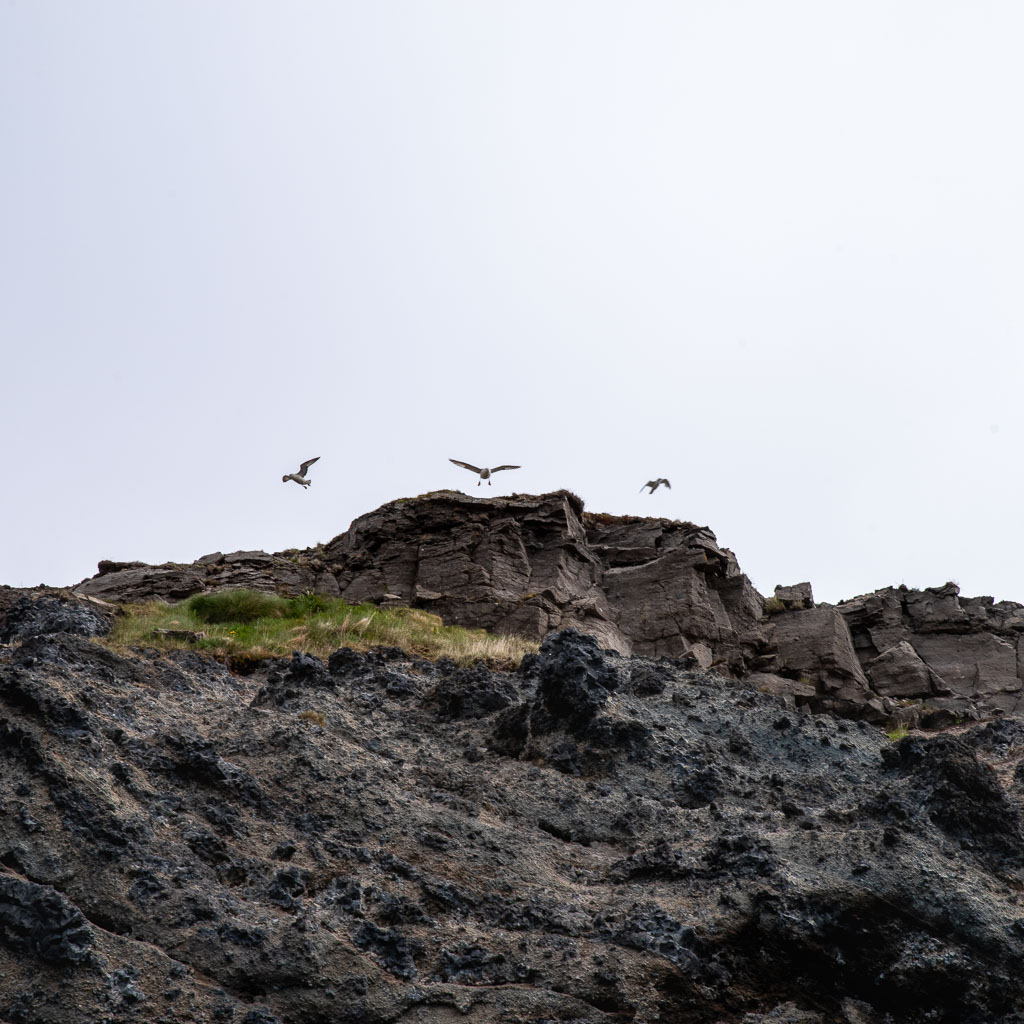 Pentax K-1 / 22 Pentax K-1   22