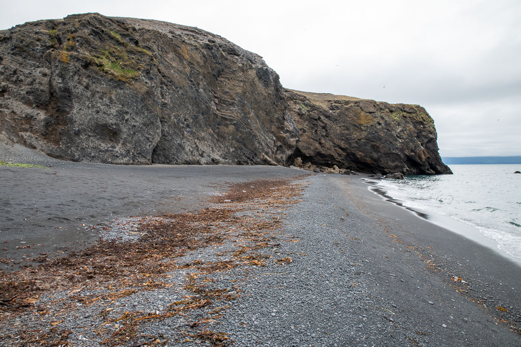 Pentax K-1 / 22 Pentax K-1   22