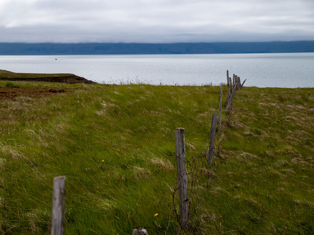 Pentax K-1 / 22 Pentax K-1   22