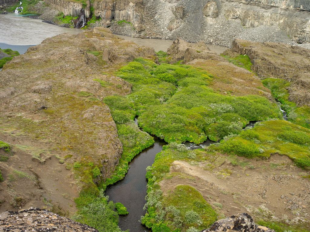 Pentax 645D / 3 Pentax 645D   3