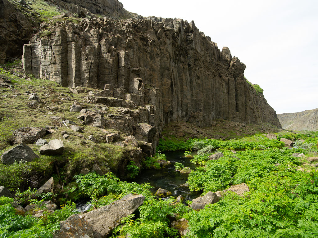 Pentax 645D / 3 Pentax 645D   3