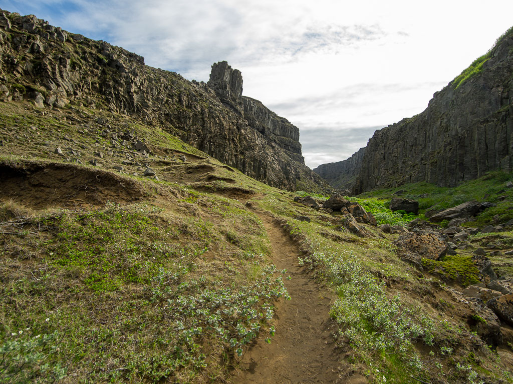 Pentax 645D / 3 Pentax 645D   3