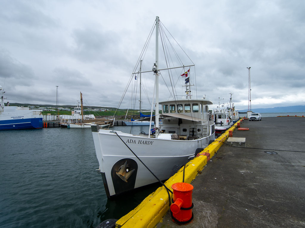 Pentax 645D / 5 Pentax 645D   5