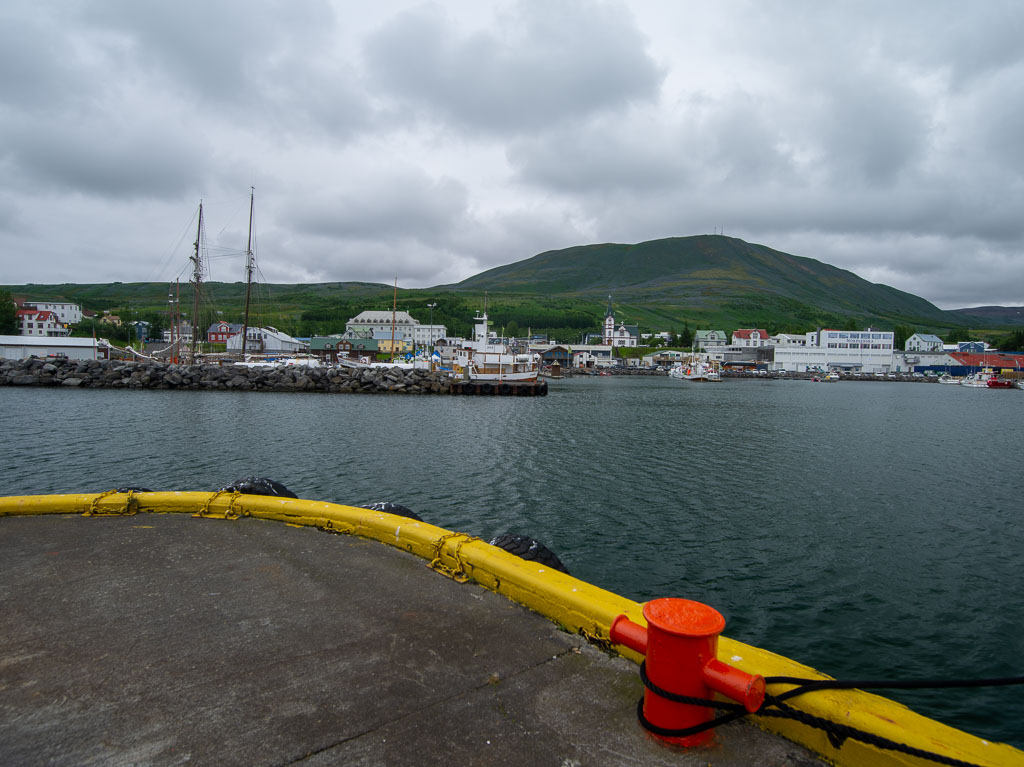 Pentax 645D / 5 Pentax 645D   5