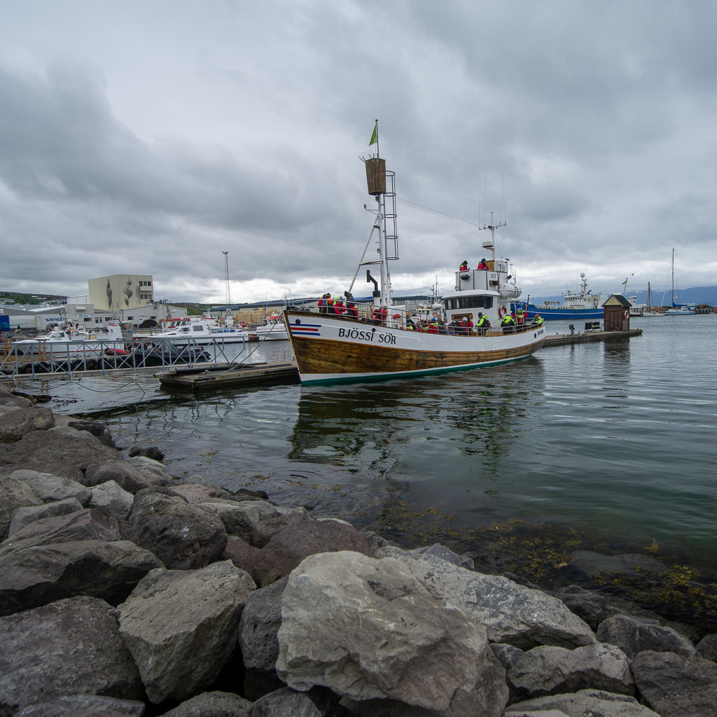 Pentax 645D / 5 Pentax 645D   5